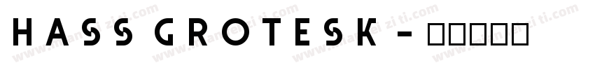 hass grotesk字体转换